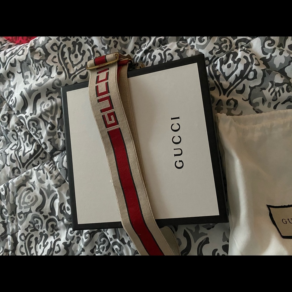 Gucci elastic belt